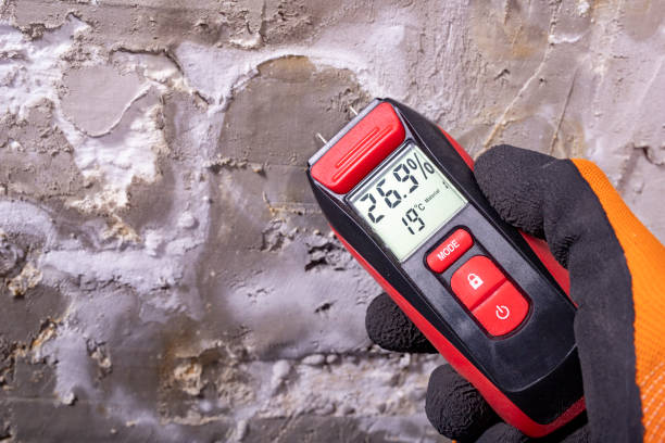 Best Mold Testing  in Murfreesboro, NC