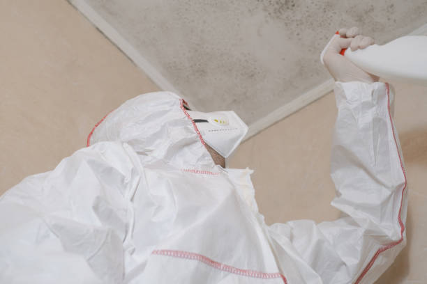 Best Certified Mold Removal  in Murfreesboro, NC
