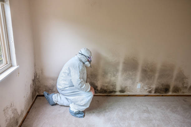Crawl Space Mold Removal in Murfreesboro, NC